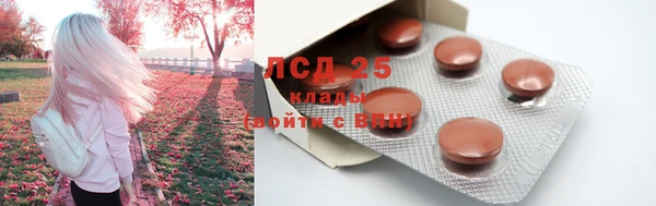 стаф Заводоуковск
