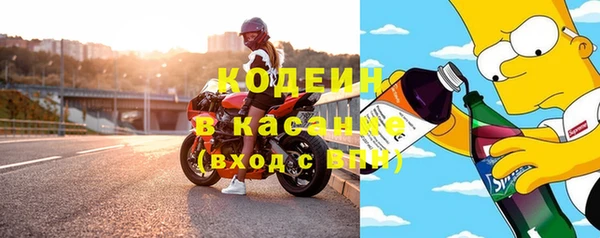 стаф Заводоуковск