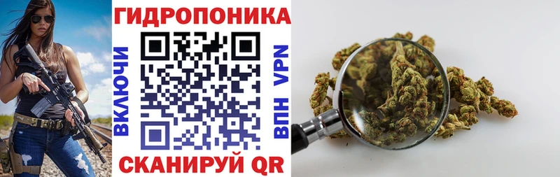 Марихуана планчик  Каменск-Шахтинский 